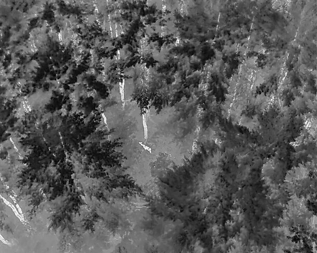 Infrared view straight down over dense forest, a bright heat signature visible in a clearing
