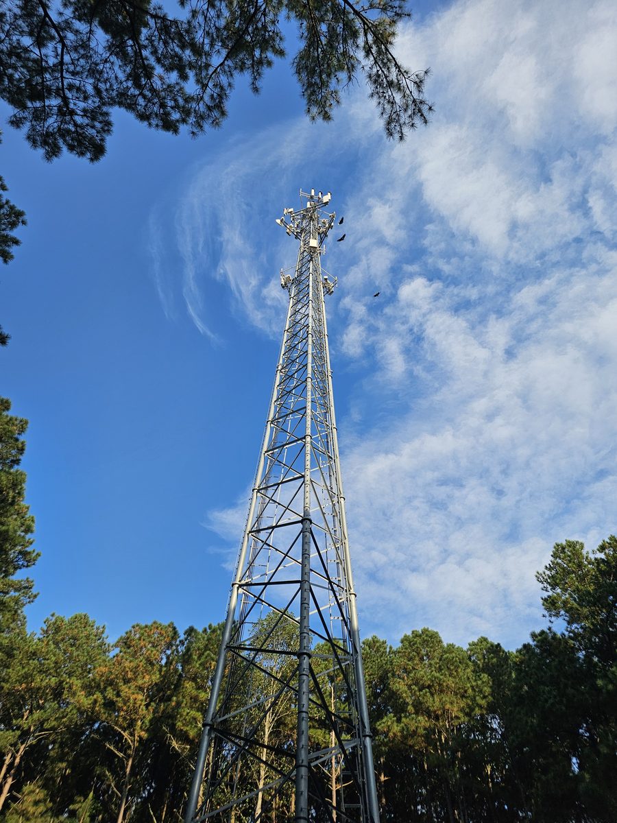 Steel lattice telecom tower rising above a pine treeline, antenna arrays mounted at the top